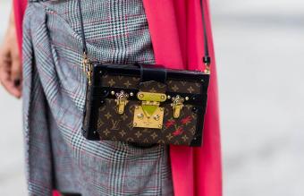 Petite Malle purse by Louis Vuitton